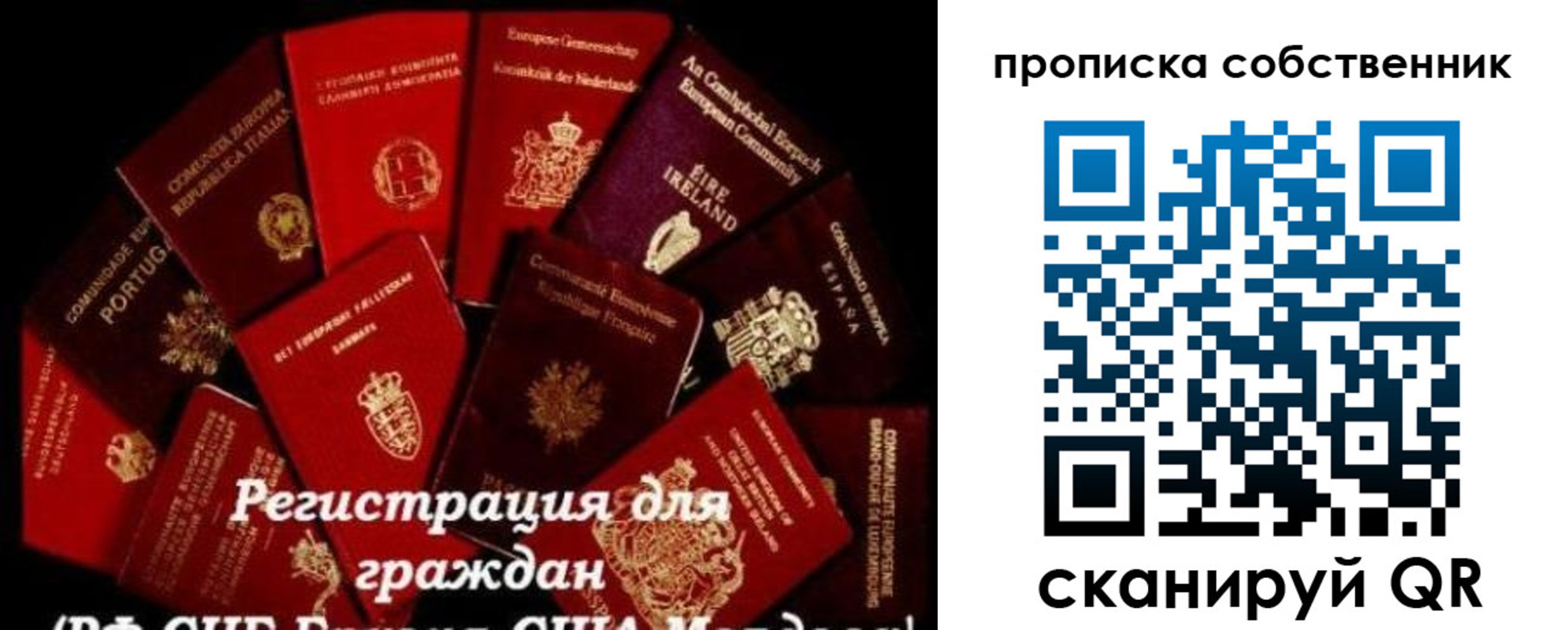 временная регистрация поиск в Нижнекамске